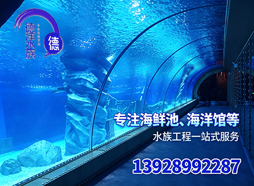 德洋清远线上分站